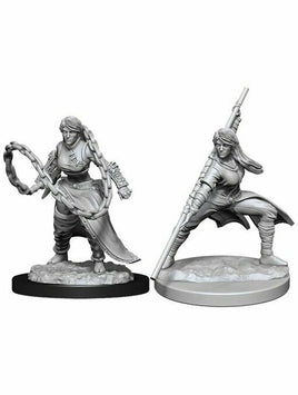 Dungeons & Dragons Nolzur's Marvelous Miniatures Human Female Monk (Wave 14)